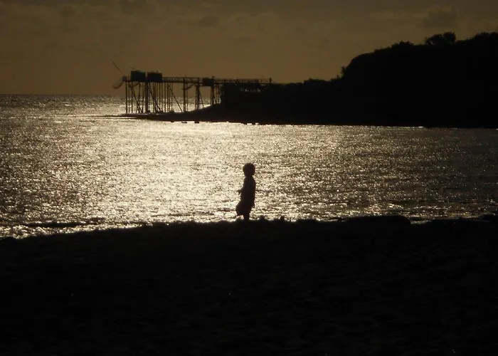 La Palombiere Saint-Palais-sur-Mer